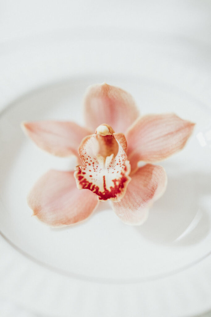 Glamouröse Hochzeit in Wien 27 magnolias on silk vienna orchid