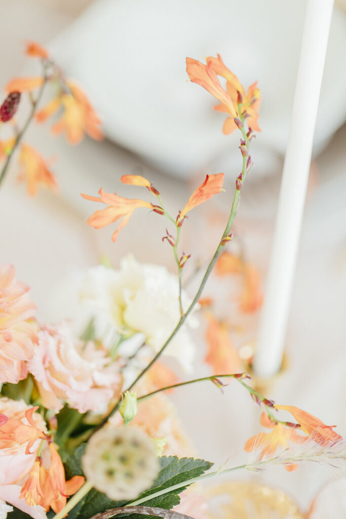 Verträumte Hochzeitsinspiration mit Schmetterlingen in einer Orangerie 3 hochzeitsinspiratoin sommerhochzeit schmetterling blumendetails