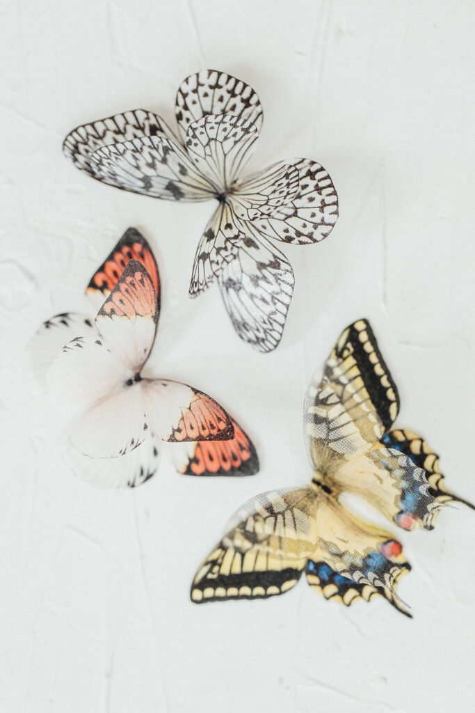 Verträumte Hochzeitsinspiration mit Schmetterlingen in einer Orangerie 43 hochzeitsinspiratoin sommerhochzeit schmetterlinge 2