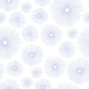 Pattern Fireworks
