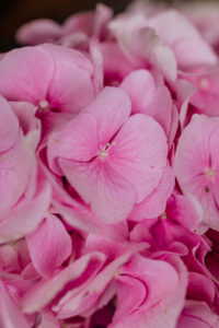 table decoration with hydrangeas 21