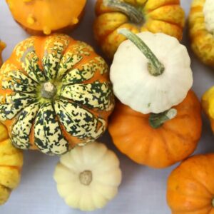 Weiße und orange Kürbisse als herbstliche Tischdekoration