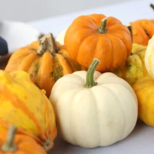 Kürbisse in verschiedenen Größen auf einem herbstlichen Tisch