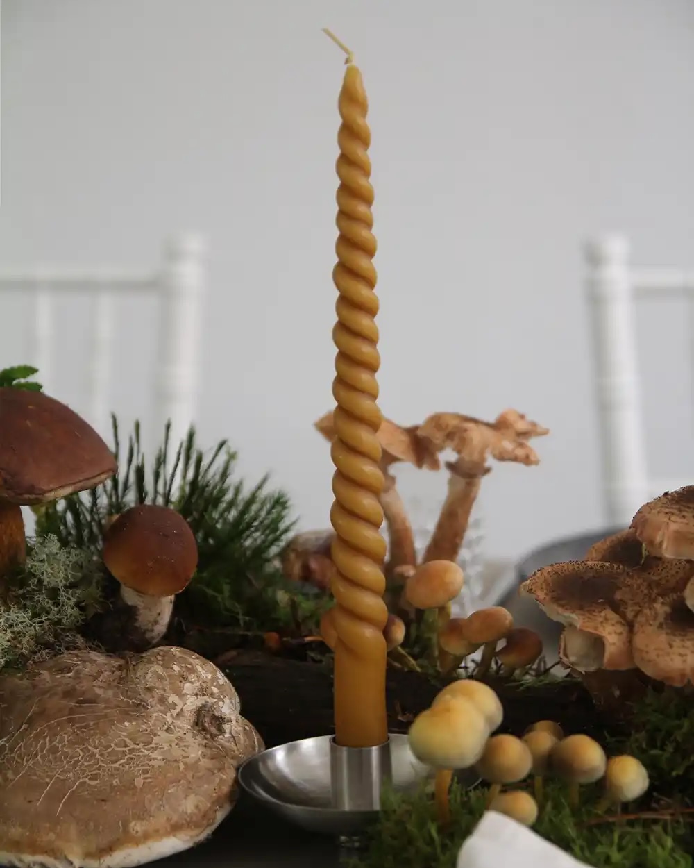 magnolias-on-silk-table-of-the-month-woodlands-forest-mushrooms-autumn-inspiration-1000x1250px-23-high magnolias on silk table of the month woodlands forest mushrooms autumn inspiration 1000x1250px 23 high