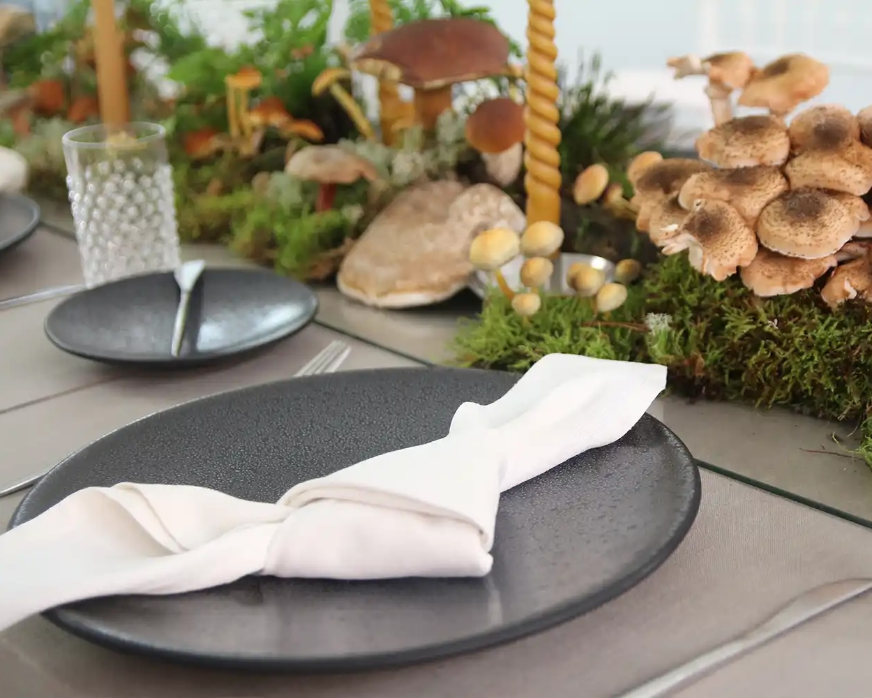 magnolias-on-silk-table-of-the-month-woodlands-forest-mushrooms-autumn-inspiration-1250x1000px-3-across magnolias on silk table of the month woodlands forest mushrooms autumn inspiration 1250x1000px 3 landscape