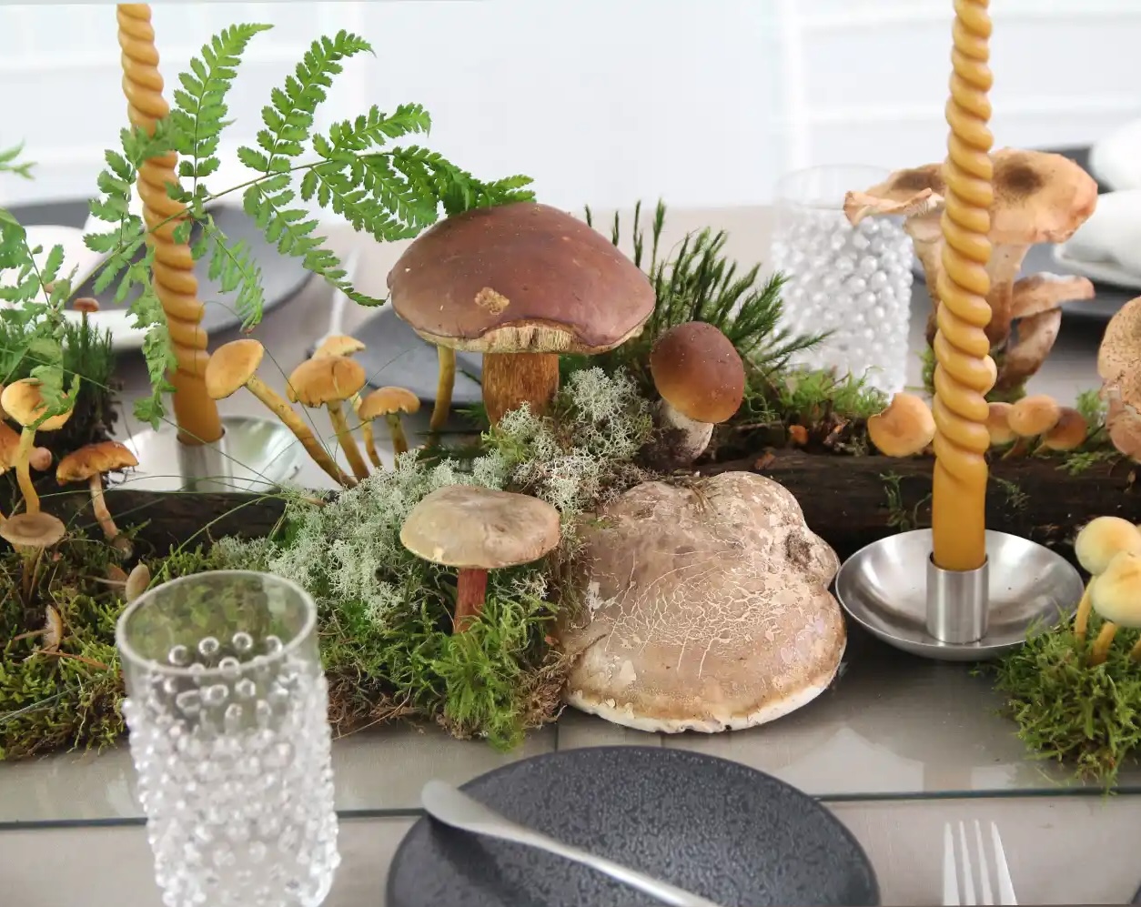 magnolias-on-silk-table-of-the-month-woodlands-forest-mushrooms-autumn-inspiration-1250x1000px-5_across magnolias on silk table of the month woodlands forest mushrooms autumn inspiration 1250x1000px 5 landscape