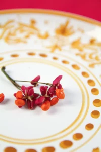 Close-up of pink and orange berries on a hand-painted plate.