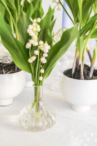 magnolias on silk tisch dekoration maigloeckchen lily of the valley gruen minimalism fruehling inspiration 165