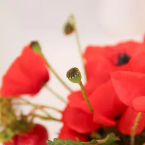 magnolias on silk table of the month june poppy strawberry red white table inspiration 94 square