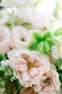 Close-up of pale pink roses and green Helleborus in a floral arrangement